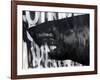 Black on Black Shark-Shark Toof-Framed Art Print