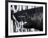 Black on Black Shark-Shark Toof-Framed Art Print