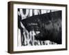 Black on Black Shark-Shark Toof-Framed Art Print