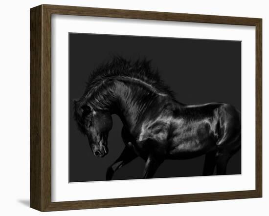 Black on Black-Samantha Carter-Framed Art Print