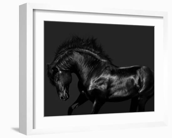 Black on Black-Samantha Carter-Framed Art Print