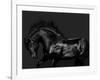 Black on Black-Samantha Carter-Framed Art Print