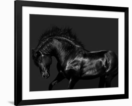 Black on Black-Samantha Carter-Framed Art Print