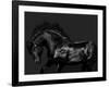 Black on Black-Samantha Carter-Framed Art Print