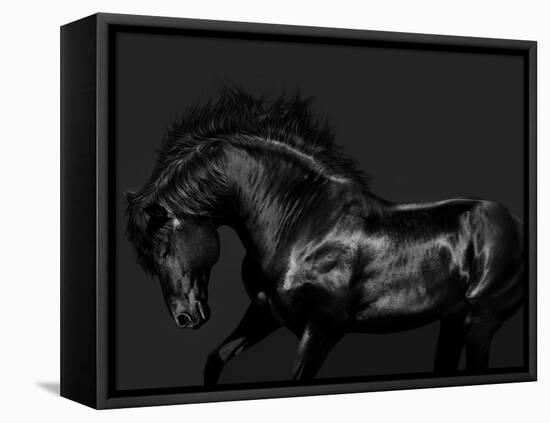 Black on Black-Samantha Carter-Framed Stretched Canvas