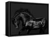 Black on Black-Samantha Carter-Framed Stretched Canvas