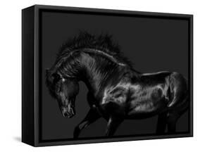 Black on Black-Samantha Carter-Framed Stretched Canvas