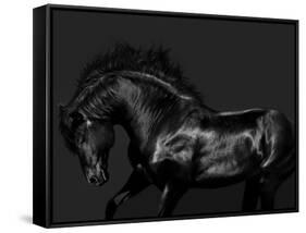 Black on Black-Samantha Carter-Framed Stretched Canvas