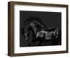 Black on Black-Samantha Carter-Framed Art Print
