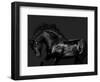 Black on Black-Samantha Carter-Framed Art Print