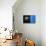 Black on Blue-Philippe Sainte-Laudy-Stretched Canvas displayed on a wall