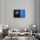 Black on Blue-Philippe Sainte-Laudy-Framed Stretched Canvas displayed on a wall