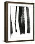 Black on White 3-Iris Lehnhardt-Framed Art Print