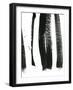 Black on White 3-Iris Lehnhardt-Framed Art Print