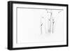 Black on White-Dusan Ljubicic-Framed Photographic Print