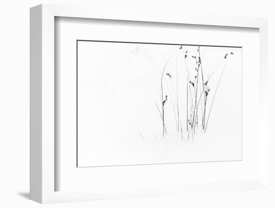 Black on White-Dusan Ljubicic-Framed Photographic Print