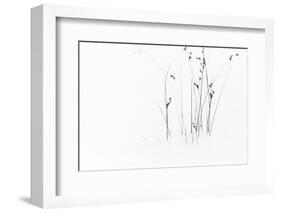 Black on White-Dusan Ljubicic-Framed Photographic Print