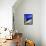 Black Opal-Douglas Taylor-Framed Stretched Canvas displayed on a wall