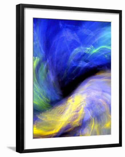 Black Opal-Douglas Taylor-Framed Photographic Print