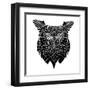 Black Owl Head Mesh-Lisa Kroll-Framed Art Print