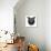 Black Owl Head Mesh-Lisa Kroll-Art Print displayed on a wall