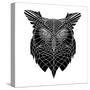 Black Owl Head Mesh-Lisa Kroll-Stretched Canvas