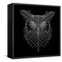 Black Owl Mesh-Lisa Kroll-Framed Stretched Canvas