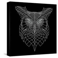 Black Owl Mesh-Lisa Kroll-Stretched Canvas