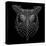 Black Owl Mesh-Lisa Kroll-Stretched Canvas