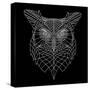 Black Owl Mesh-Lisa Kroll-Stretched Canvas