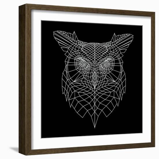 Black Owl Mesh-Lisa Kroll-Framed Art Print