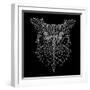 Black Owl Mesh-Lisa Kroll-Framed Art Print