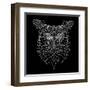 Black Owl Mesh-Lisa Kroll-Framed Art Print