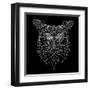 Black Owl Mesh-Lisa Kroll-Framed Art Print