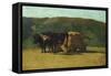 Black Oxen Pulling Wagon-Raffaello Sernesi-Framed Stretched Canvas