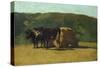 Black Oxen Pulling Wagon-Raffaello Sernesi-Stretched Canvas