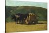 Black Oxen Pulling Wagon-Raffaello Sernesi-Stretched Canvas