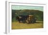 Black Oxen Pulling Wagon-Raffaello Sernesi-Framed Giclee Print