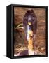 Black Pakistan Cobra, Native to Pakistan-David Northcott-Framed Stretched Canvas