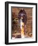 Black Pakistan Cobra, Native to Pakistan-David Northcott-Framed Photographic Print