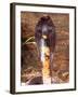 Black Pakistan Cobra, Native to Pakistan-David Northcott-Framed Photographic Print