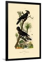 Black Palm Cockatoo, 1833-39-null-Framed Giclee Print