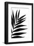 Black Palms I-Renée Stramel-Framed Photographic Print