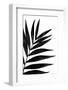 Black Palms I-Renée Stramel-Framed Photographic Print