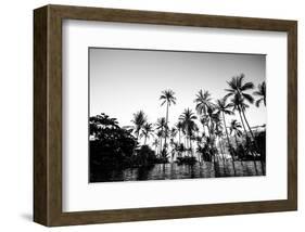 Black Palms on Samui island-null-Framed Art Print