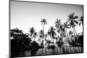 Black Palms on Samui island-null-Mounted Art Print