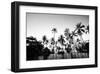 Black Palms on Samui island-null-Framed Art Print