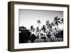 Black Palms on Samui island-null-Framed Art Print
