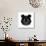 Black Panda-Lisa Kroll-Art Print displayed on a wall