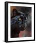 Black Panther 1-David Stribbling-Framed Art Print